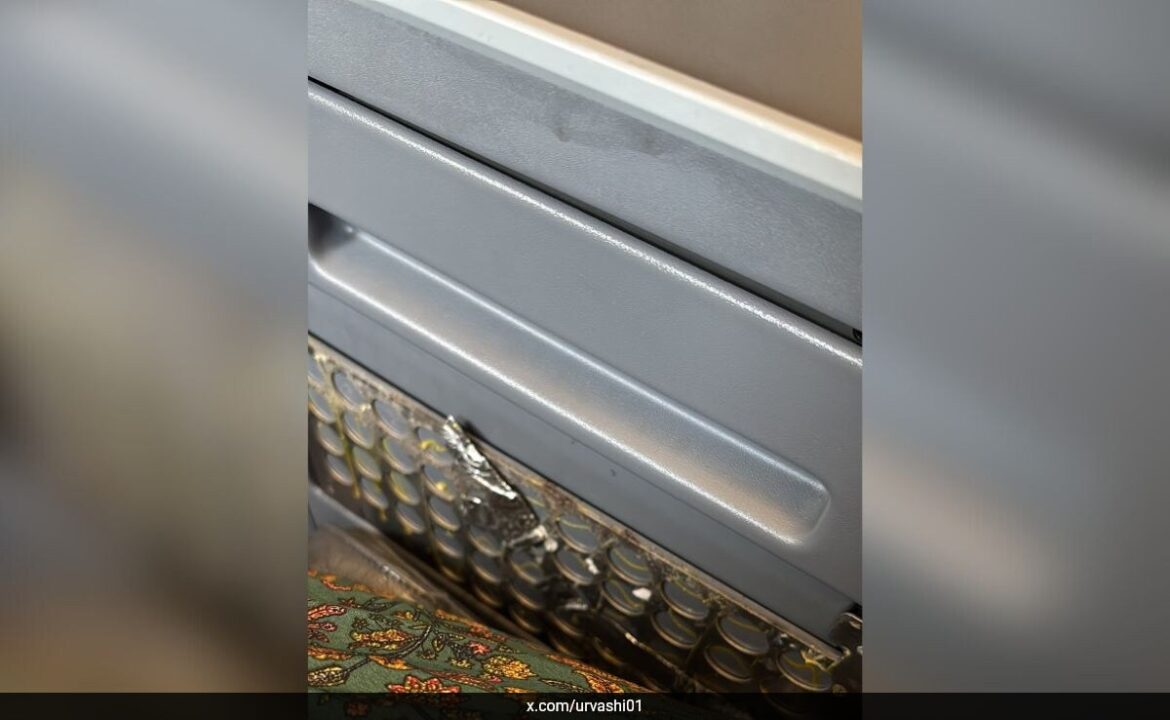 మహిళ ఆన్ ఎయిర్ ఇండియా బ్రోకెన్ బిజినెస్ క్లాస్ సీటు
