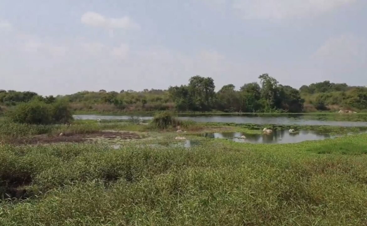 విద్యార్థులు, పర్యావరణవేత్తలు ఎందుకు నిరసన తెలిపారు
