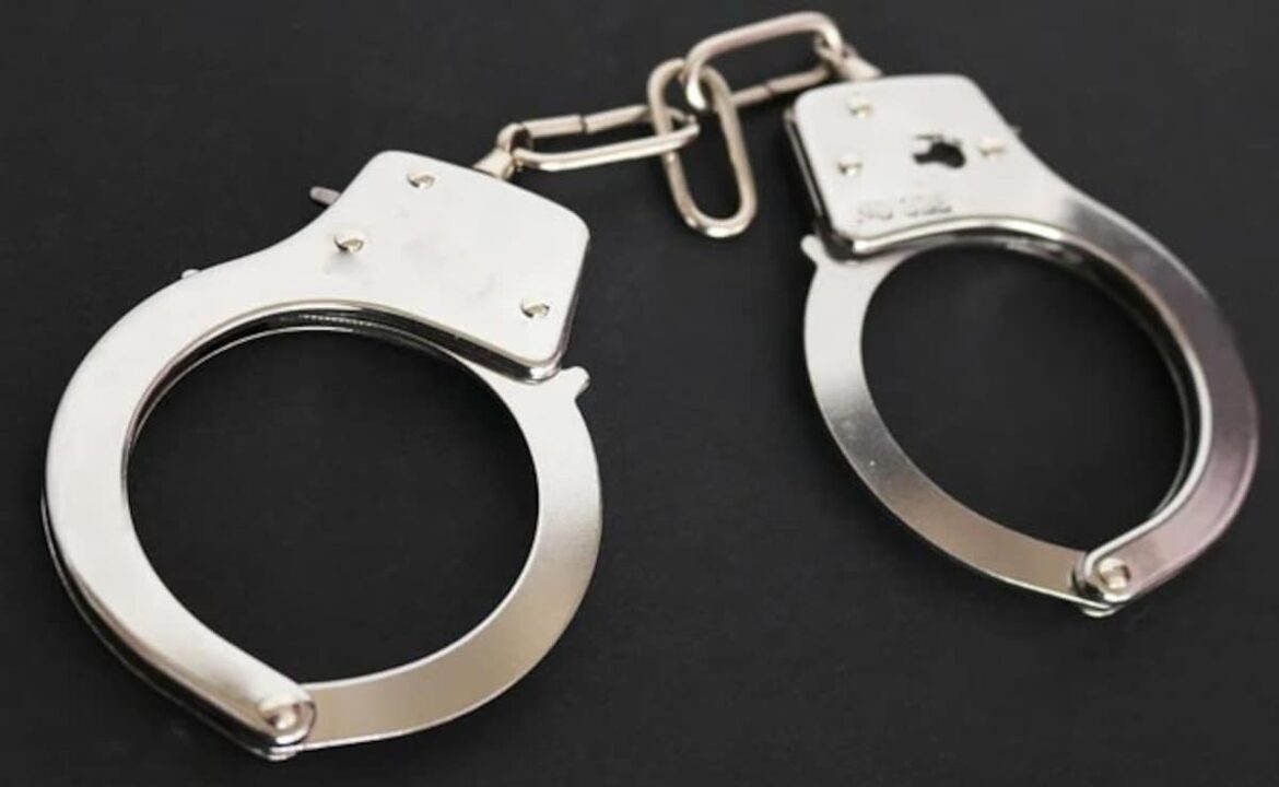 వీసా ఉల్లంఘనల కోసం 15 విదేశీ పౌరులు Delhi ిల్లీ నుండి బహిష్కరించబడ్డారు
